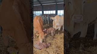 Erster gemeinsamer Skitag!