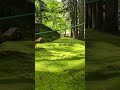 【苔の古道 光前寺】ゆるキャン△聖地 長野県辰野 20260612