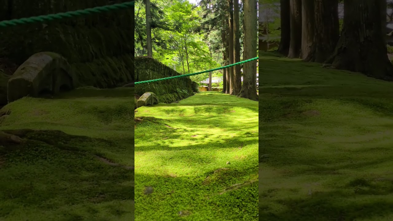 【苔の古道 光前寺】ゆるキャン△聖地 長野県辰野 20260612