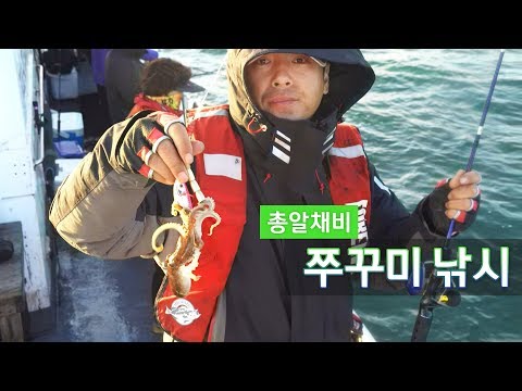 총알채비로 쭈꾸미낚시 [피쉬앤피플] (구:원투마스터채비)