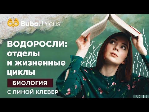 Водоросли: отделы и жизненные циклы | БИОЛОГИЯ ЕГЭ | Лина Клевер