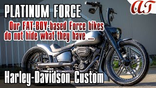 2023 Harley-Davidson FAT BOY Custom: PLATINUM FORCE * A&T Design