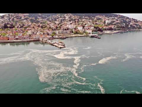 Video: Cilat Janë Kriteret Për Zgjedhjen E Një Dadoje Për Një Fëmijë Një Vjeç