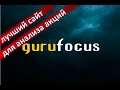Обзор сайта Gurufocus