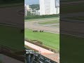 【中京競馬場】最後の直線は坂を上がる前後がわかる勝負どころのシーン! #shorts #中京競馬場 #中央競馬