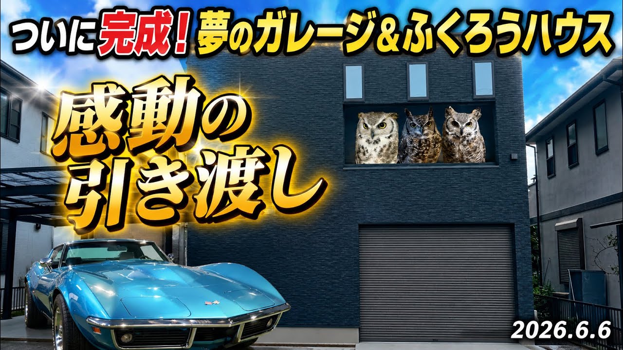 送料無料 超レアGARAGE/DISCO12インチ等まとめ売り#HOUSE Finally complete! The dream garage & owl house - a moving handover