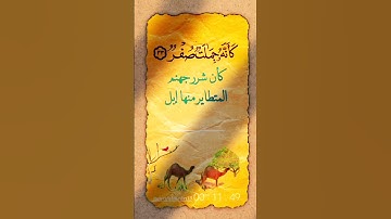 سورة المرسلات من ٣٢-٣٤ الحصري  #القرآن_الكريم #اكسبلور #quran #تيك_توك #duet #explore