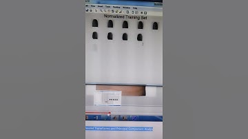 Fingerprint Based Age Estimation Using 2D Discrete Wavelet Transforms and Principal Component Analys