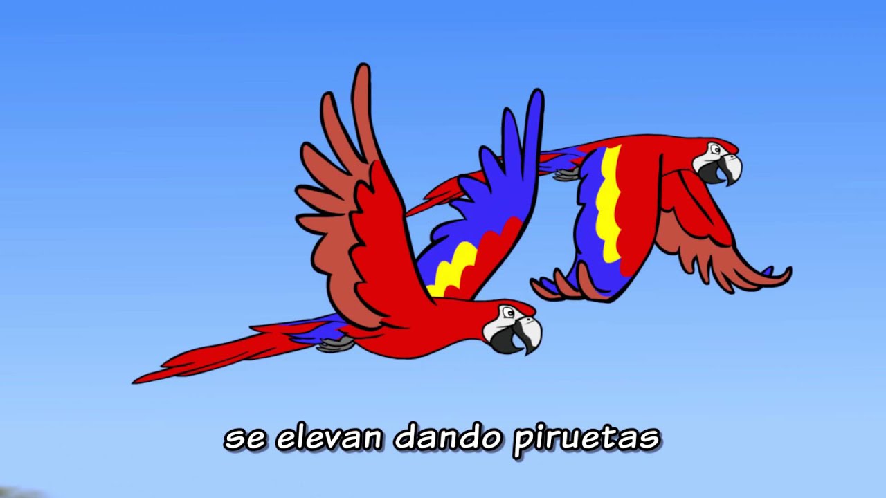 17 Escandalo De Vida Selva Tropical Youtube