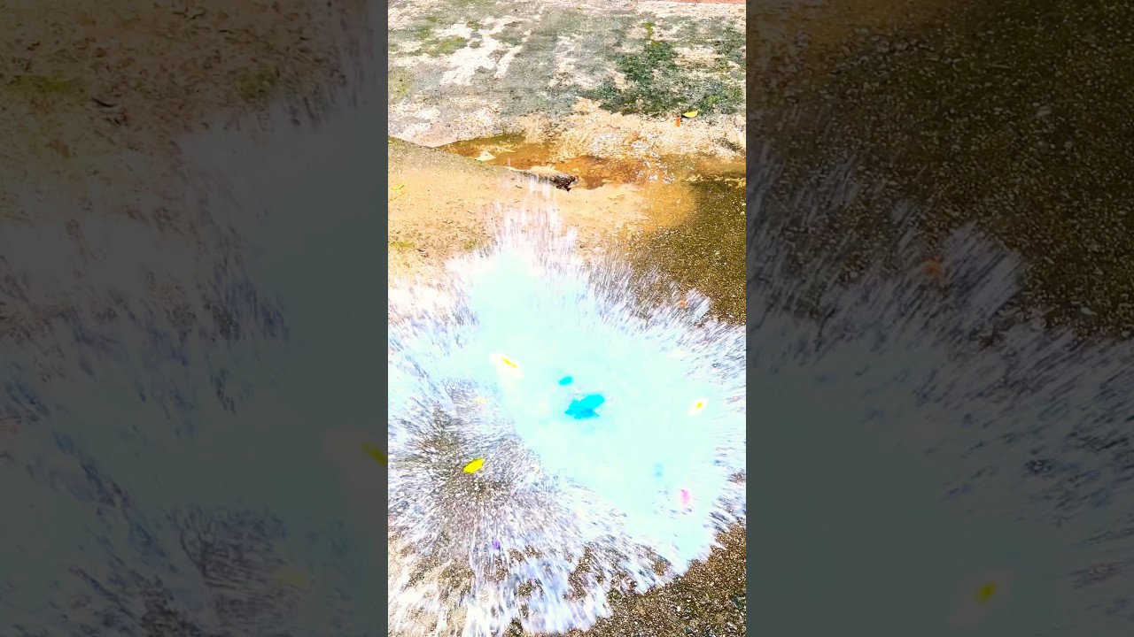 Color Splash Balloon Burst 💥 | Satisfying Water Explosion in Slow Motion