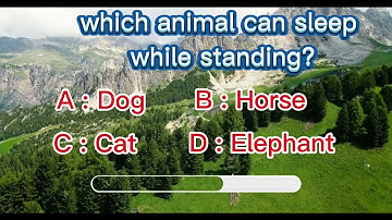  “If You Get This Right, You’re a Real Genius!”