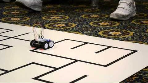 No Stupid Turn Right