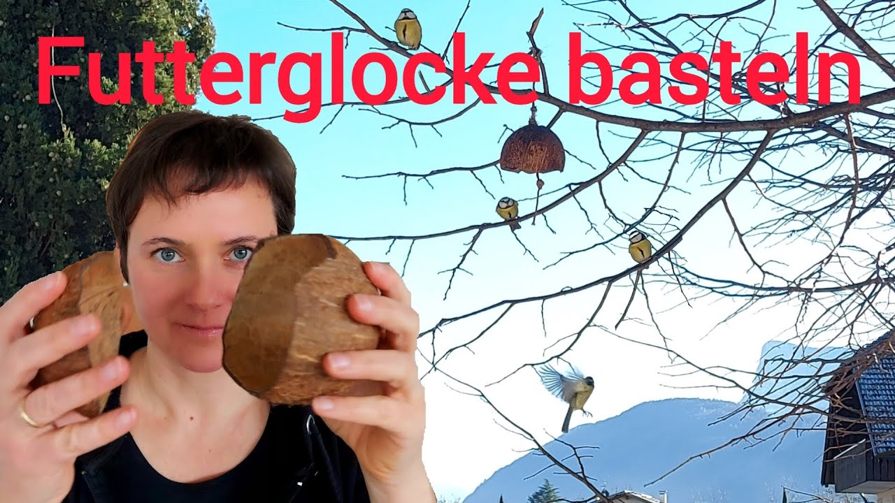 Futterstation aus Kokosnuss Schalen selbermachen | Winterfütterung