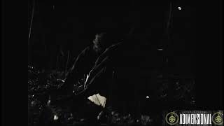 Adimensional - Paradox