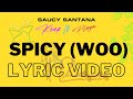 Miniature de la vidéo de la chanson Spicy (Woo)