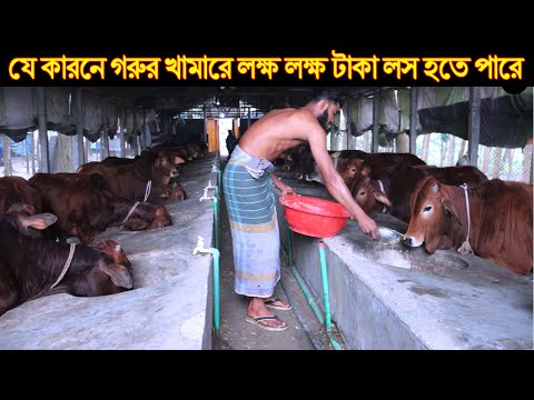 ভিডিও: তরঙ্গ বিশ্লেষণ: এলিয়ট পদ্ধতি