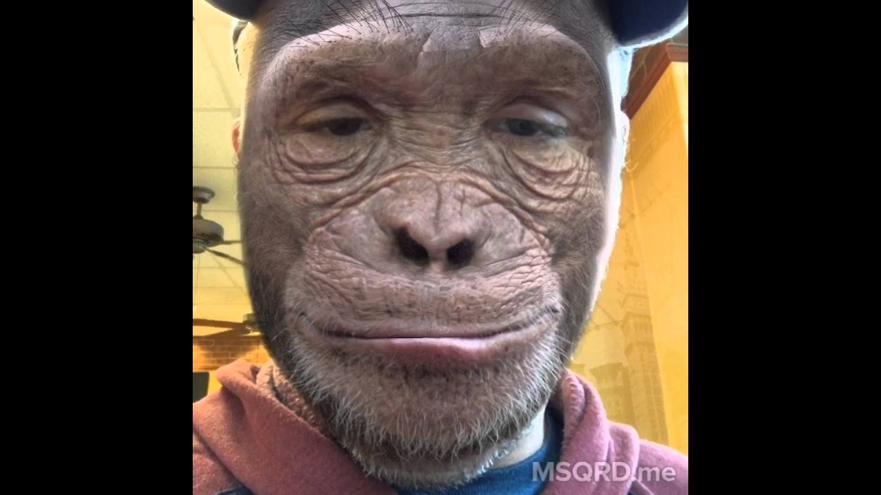 Monkey eating Lays Potato Chips