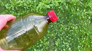 After learning this SECRET, you will never throw away a plastic bottle!