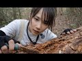 北大東島で材割りしたらやばいクワガタが出てきた