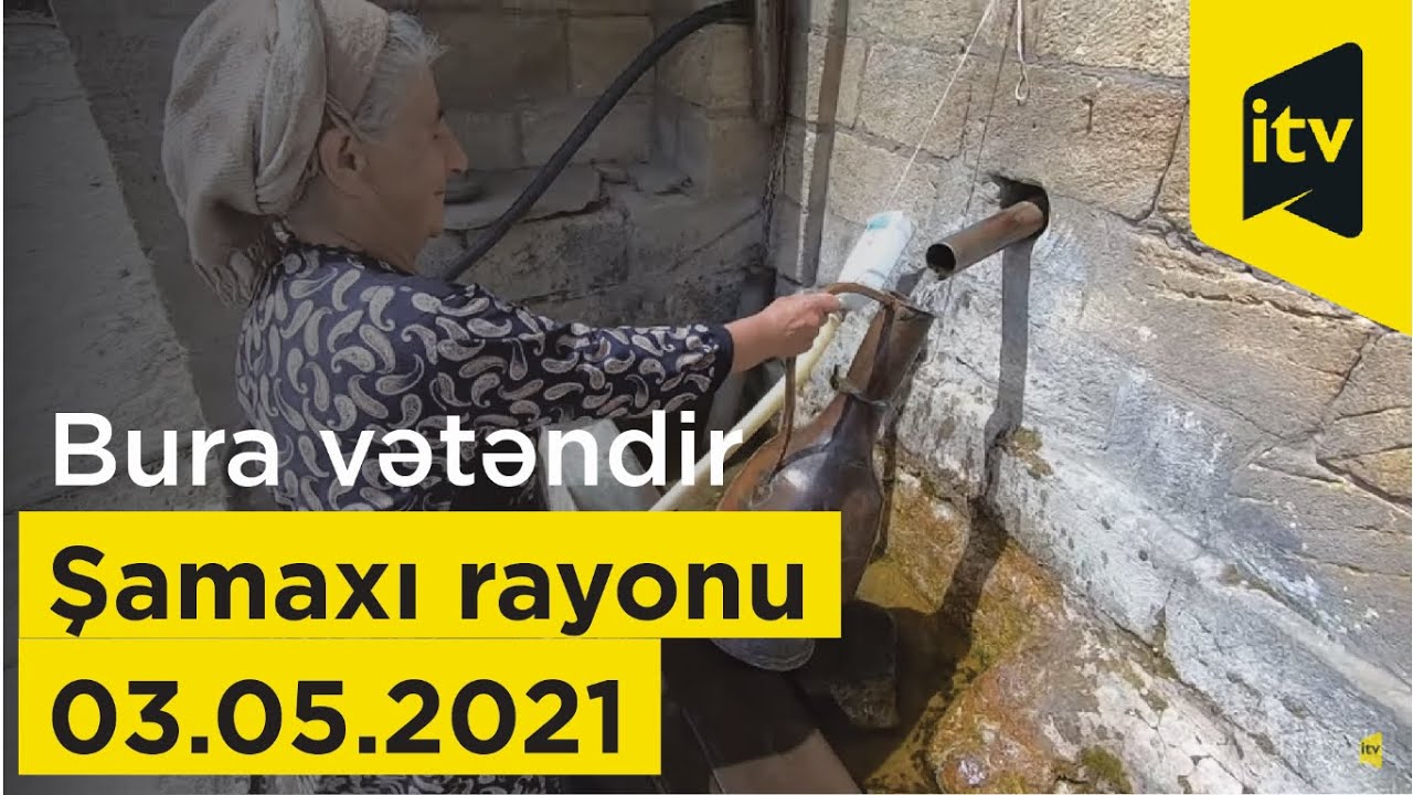 Bura vətəndir - Şamaxı rayonu - Qaleybuqurd kəndi - 03.05.2021