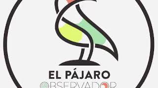 33. Porque fueron, somos: memoria histórica en Cantabria