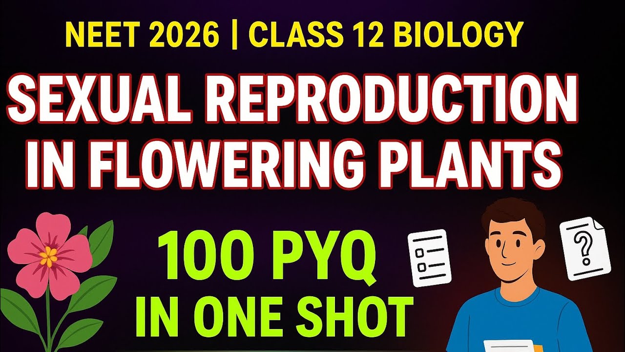 Sexual Reproduction in Flowering Plants | NEET 2026 Biology Class 12 ...