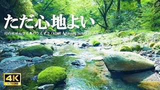 心地よい水の音 新緑の森に響く鳥のさえずり:自立神経を整える、リラクゼーションにご活用ください【ASMR 4K】