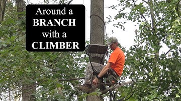 Around a BRANCH with a CLIMBER