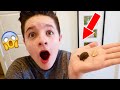 Buying a BABY TURTLE online! | Brock and Boston