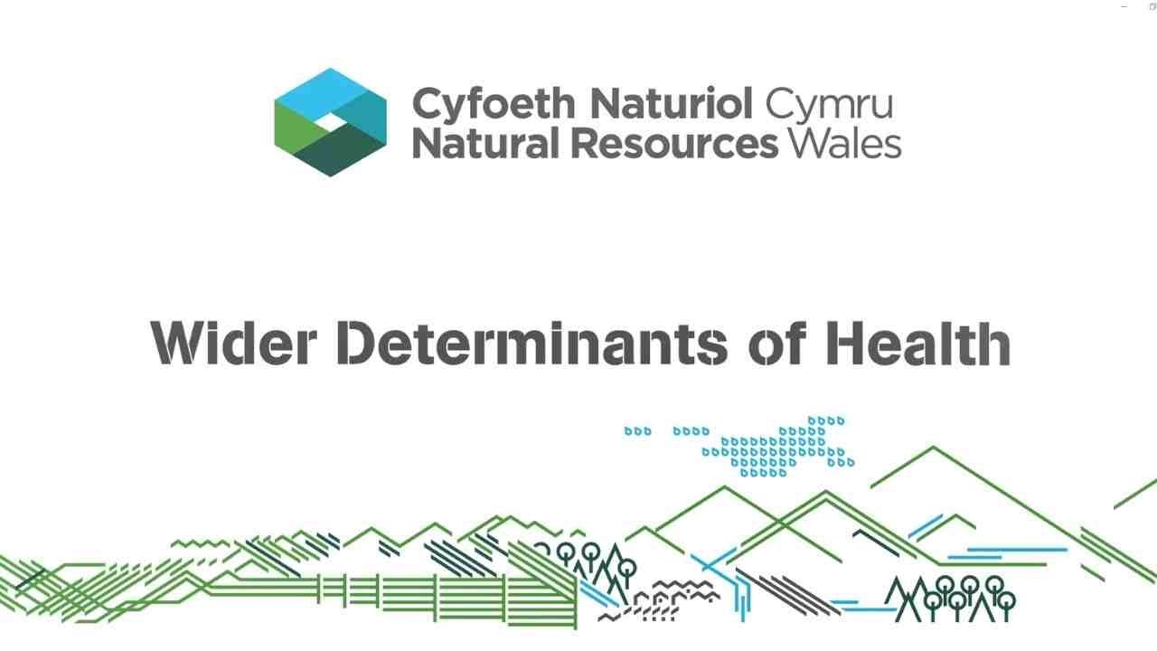 Wider determinants of health YouTube
