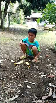 Doa untuk merpati