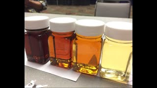 Is It Syrup Yet? The Science Behind Maple Sugaring