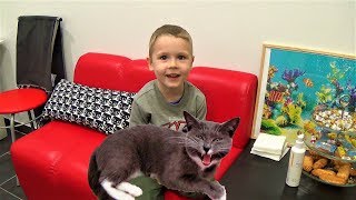 Макс в котокафе играет с кошками развлечения для детей в Перми Макс в котокафе играет с кошками развлечения для детей в Перми