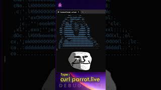 🖥️ Watch a Dancing Parrot in Your Terminal! 🦜 | Fun CMD Hack | CMD Hack