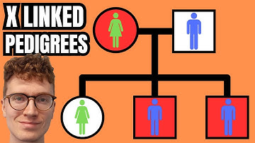X-Linked Pedigrees QUICKLY EXPLAINED