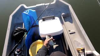 Madness All Madness Fishing Cold Front in Dallas Texas for Big Crappies and Huge Bluegills!
