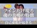 ツインレイ同士だけで起こる!魂の統合を求めて起こる変化とアプローチの特徴【きずなチャンネル】音声付き