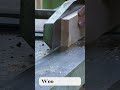 Popular Hobby to Start Today – Woodworking || #Shorts