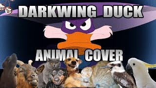 Darkwing Duck  Intro Theme (Animal Cover)