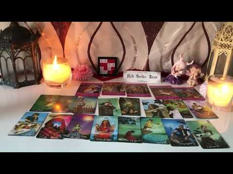 LIBRA  -