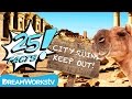 25 Dry Facts About DESERTS | 25 FACTS