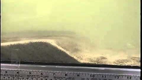 Dune Migration 2   480 x 360