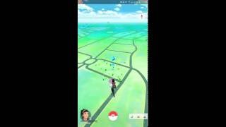 Cazando Pokémon