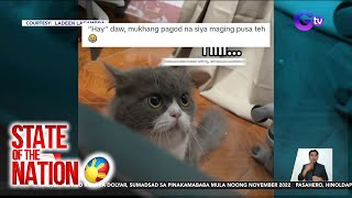 State Of The Nation Part 3: Alagang Persian Cat Na Hindi Tunog-Pusa,Kinaaliwan Ng Amo At Ng Netizens