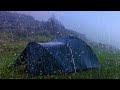 SOUND FOR SPLEEPING: 2 HOURS  😴🌳 CAMPING IN FOREST UNDER THE RAIN  🌳😴 HQ SOUND