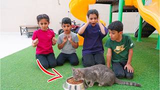 ساعدنا قطه مسكينه !!