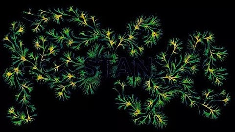 Growing a Mycelium with VEX – Houdini Tutorial