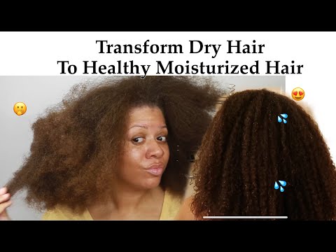 watch-me-transform-my-dry-hair-into-moisturized-healthy-hair-|-wash-day