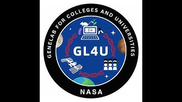 GL4U: RNAseq Lecture 2of2 Statistics Overview 2024