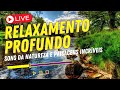 SONS DA NATUREZA 🎶 Música Relaxante para Acalmar a Mente e Relaxar 💦